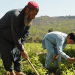 Balancing Books and Burdens